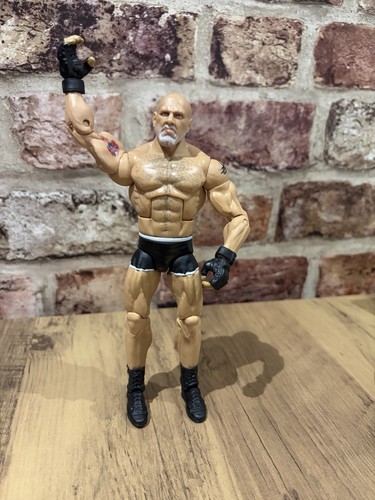 Wwe wrestler goldberg - wrestler,