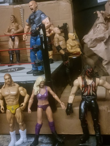 Wrestling action figures job - action,