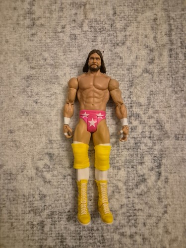 Wwe wrestler randy - wwe,
