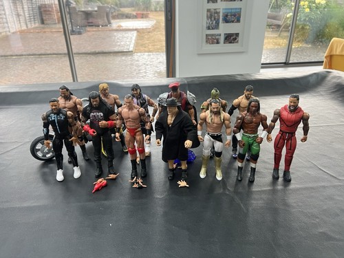 Wwe wrestling action - wwe,