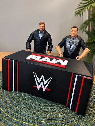Wwe raw commentator - wwe,