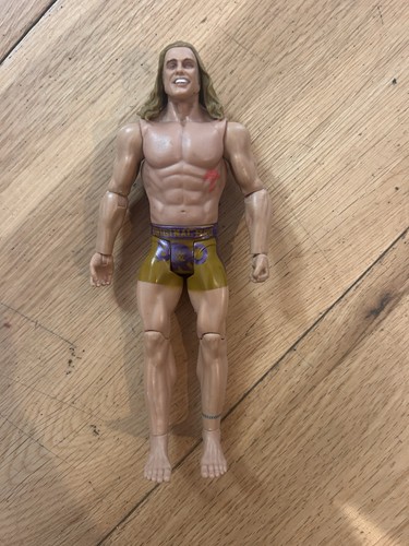 Wwe action figure - , matt