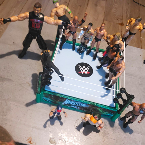 Wwe plastic wrestling - wwe,